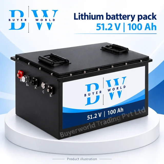 LFP 51.2V 100 Ah Battery(Feston) — Battery Pack